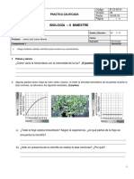 Practica Calificada 1 - III Año