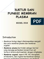 03 - Struk - Fungsi Membran