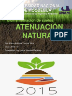 DIAPOS ATENUACION NATURAL.pdf