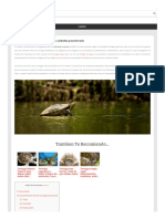 #Alimentacion Tortuga Pavo Real PDF