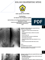 Tugas Radiologi Ekspertise Spine