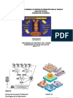 Programa de Estudio