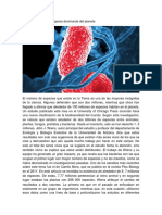 Las Bacterias Son La Especie Dominante Del Planeta - Docx Cami
