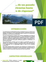Biolley - A.P. PDF