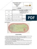 7 Ef 1 Periodo PDF