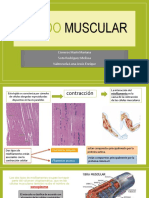 Tejido Muscular