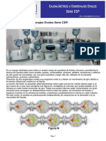 Caudalimetros a Engranajes CDP SIMEF.pdf