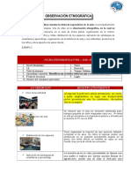 Modelo de Informe de Etnografia 