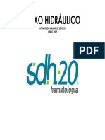 Fluxo Hidraulico SDH20
