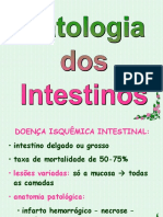 Patologia Dos Intestinos - Doencas Inflamatorias