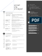 Curriculum Vitae Daniel Xala Carvajal