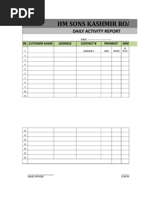 Daily Activity Report