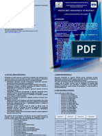 Pliant Prezentare Master AFE 2019 PDF