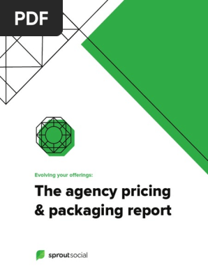 Agency Pricing and Packaging of Social Media Services