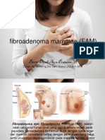 Fibroadenoma Mammae (FAM) Berta