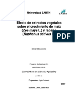 Effects of plant extracts on maize and radish growth