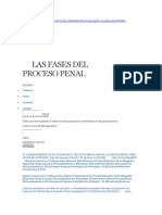 Fases Del Proceso Penal