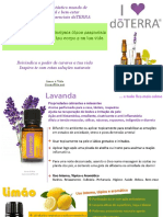 10 Óleos Essenciais doTERRA e seus Benefícios