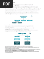 sistema de coagulação