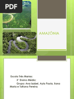 Amazônia