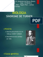 A Síndrome de Turner