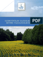 szanto_web.pdf