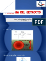 Fisiología del eritrocito