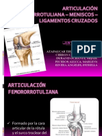 Articulacion Femororrotuliana