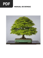 Bonsai Manual Completo