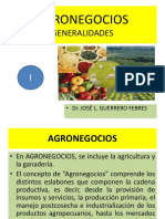 1.1.1 Agronegocios