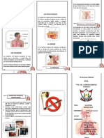 Sistema Digestivo Triptico