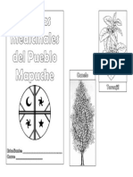 Hierbas Medicinales Del Pueblo Mapuche