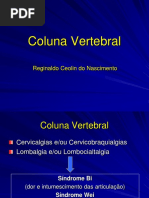 Coluna vertebral 