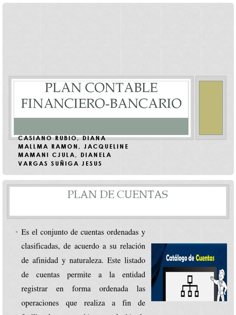 Literatura Aislar En cualquier momento Plan Contable Financiero-Bancario | PDF | Contabilidad | Presupuesto