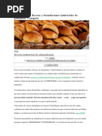 Ayuda Visual Puffed Producto Ideal 2022 | PDF | Tecnología e ...