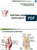 Chirurgie Plastica