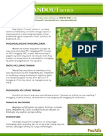 Pipino PDF