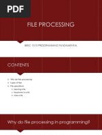 File Processing: Beec 1313 Programming Fundamental