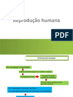 1 - Reprodução Humana - Estruturas - Reprodutoras - Células - Sexuais - Alunos