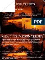 What Are Carbon Credits?