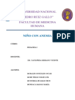 Seminario Niño Con Anemia Completo