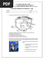 Avaliação Diagnostica 1 Ano-convertido (1)