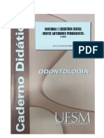 Caderno Didático Dentes Anteriores 2 Edição