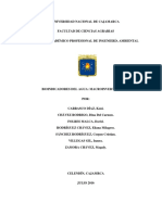 Informe