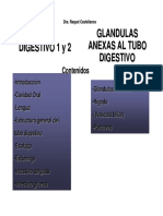 Clase Tubo Digestivo Completa + Glandulas Anexas para PDF