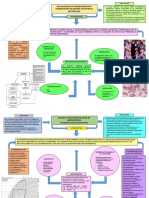 INFOGRAFÍAS