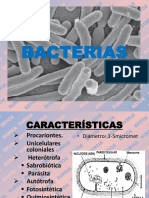 Bacterias Bryce 2013