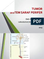 Tumor Sistem Saraf Perifer: Oleh: Rizki Hanriko, DR Laboratorium Anatomi-Histo-PA FK Unila 2019