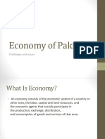 Economy of Pakistan: Challenges and Issues