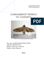 Orden Lepidoptera